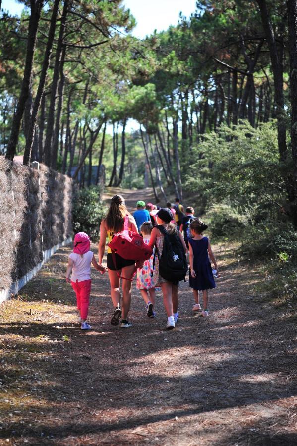 ホテル Camping Le Clos Des Pins サンティレール・ド・リエ エクステリア 写真